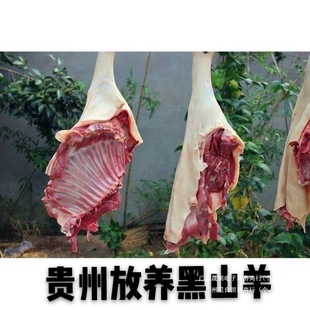 �F��������B��ɽ������ɢ�Bɽ����F�����r��Ƥ����������������