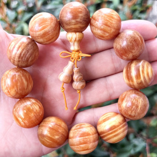 ���l����Ѫ��ľ�ִ�108�w������朝M��ȫ͸��������������ִ�