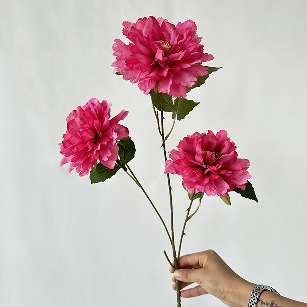 메이이 3 히비스커스 로즈 레드