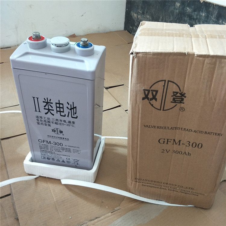 双登蓄电池GFM-300上双登 2V300ah 阀控密封式免维护铅酸蓄电池