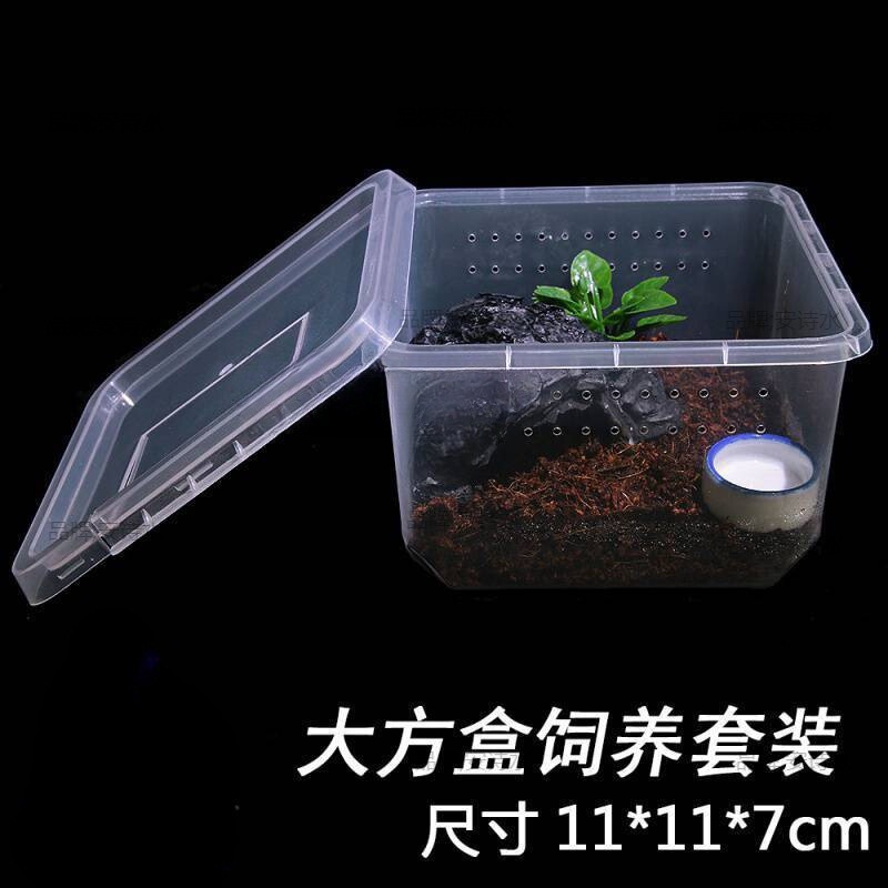 专业爬宠饲养盒爬虫人渣盒大中小号树栖盒小方盒蜘蛛双开防越狱|undefined