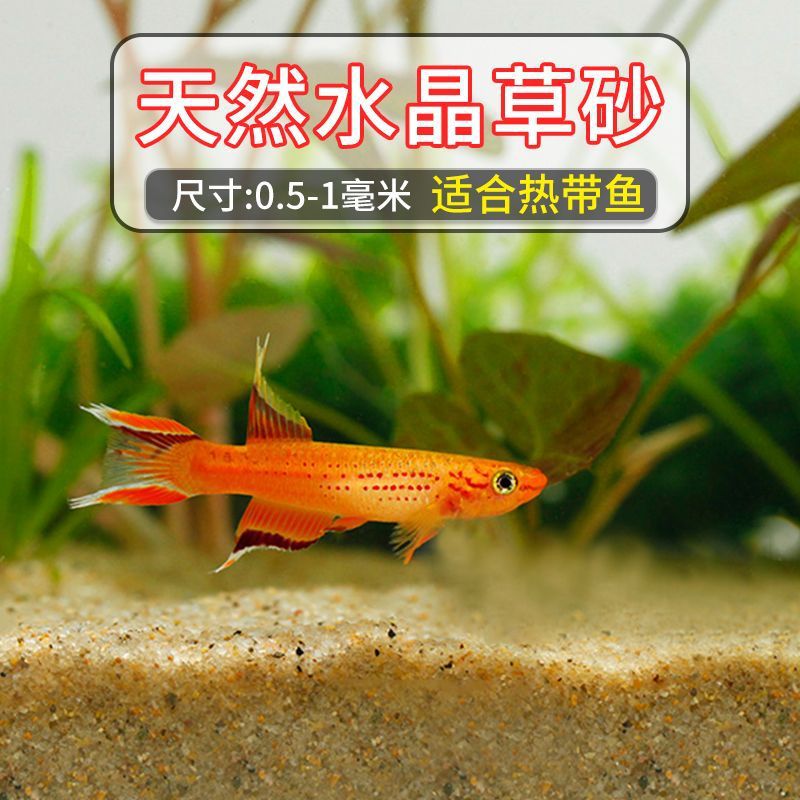 Crystal Grass sand small size [0.5-1mm]]