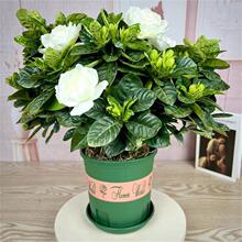 ���~�d�ӻ����Զ������ļ��d�ӻ���ĵ�������҃���ͥԺ���㻨��