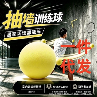 一件代发羽毛球爆练球双打训练神器对墙训练高密度发泡球击墙回弹