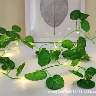 ���ķ����~�����������l��������led���������~�z���¿���Ӳʟ�