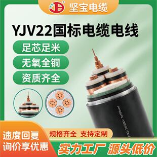 �Ԍ� YJV 22�z�b2о��| ���˼��~�ߵ͉��ܿ�늾�����ʩ���Դ��
