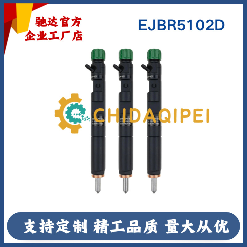 Ejbr05101D Common Rail Injector 28232251 8200676774 for 1.5Ldci Renault