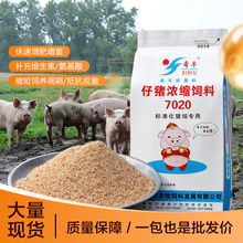 厂家直销仔猪浓缩饲料强健肠胃促20%增重提高养殖效益浓缩料