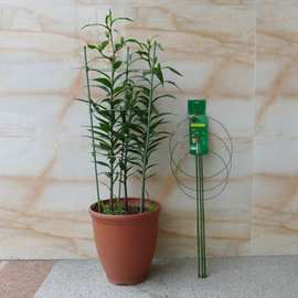 园艺固定型蔬菜网格植物支撑架 创意爬藤花架植物攀爬架