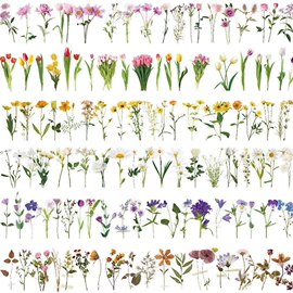 不干胶标签;文具贴纸;创意贴纸