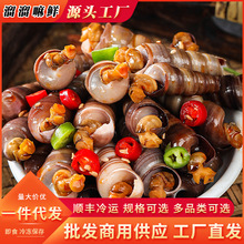 �������r������ݺ��F����F����С���r��ʳ���b���r