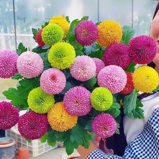 ��ɫƹ�Ҿ����Ժ��B�׻��������������ͺ��͟��k���ҿ͏d����