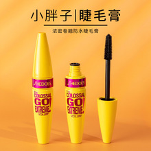 跨境彩妆Shedoes 4D彩色防水浓密持久不掉色不晕染睫毛膏厂家直销