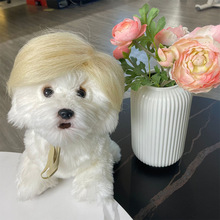 �羳�f�}���b�繝���b���ּٰl�^���¿��������ͬ����^