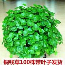 ���~�~�X�ݎ��~�l؛ ˮ��ˮ�B�����҃�ֲ�� �����k���ҾGֲ���X��