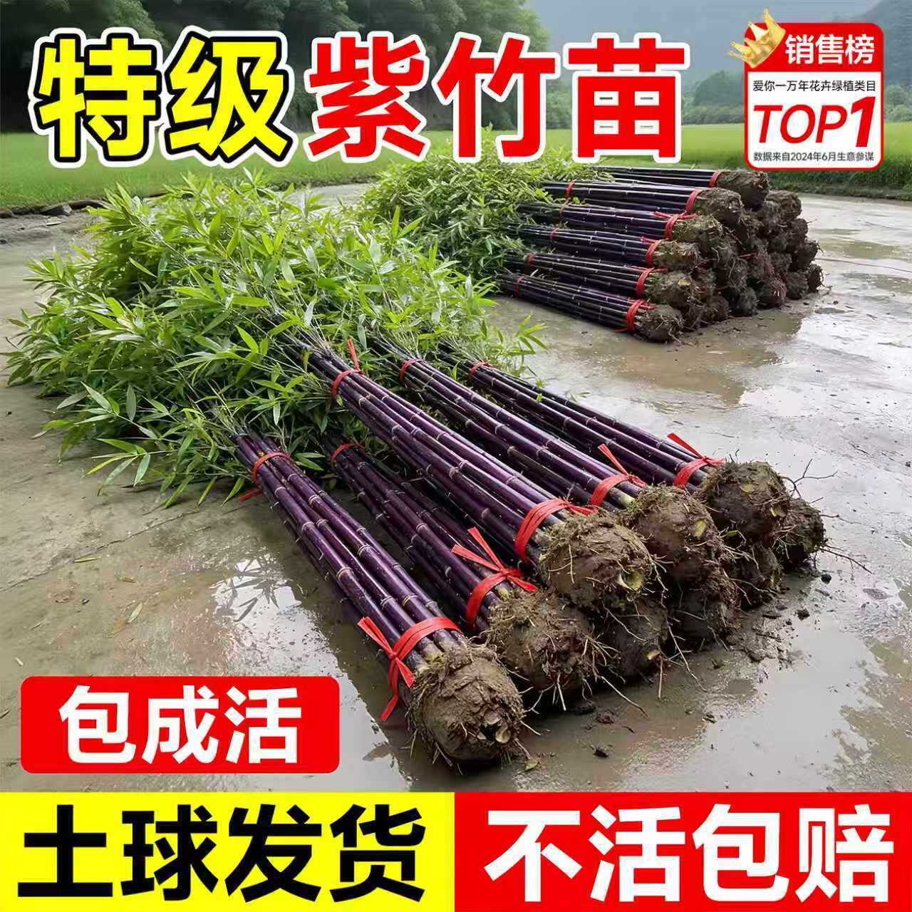 �����簫���������^�p�Gֲ�����ϸ��Ϛ�|����ͥԺ�����ͺ�������