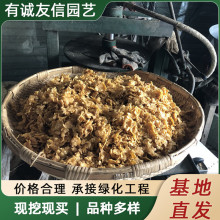 豆饼肥料发酵饼肥腐熟花肥料熟饼豆饼肥豆饼渣种菜养花黄豆圆饼