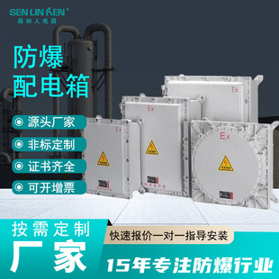 Explosion-proof distribution box lighting power control box explosion-proof junction box explosion-proof magnetic starter circuit breaker inspection box