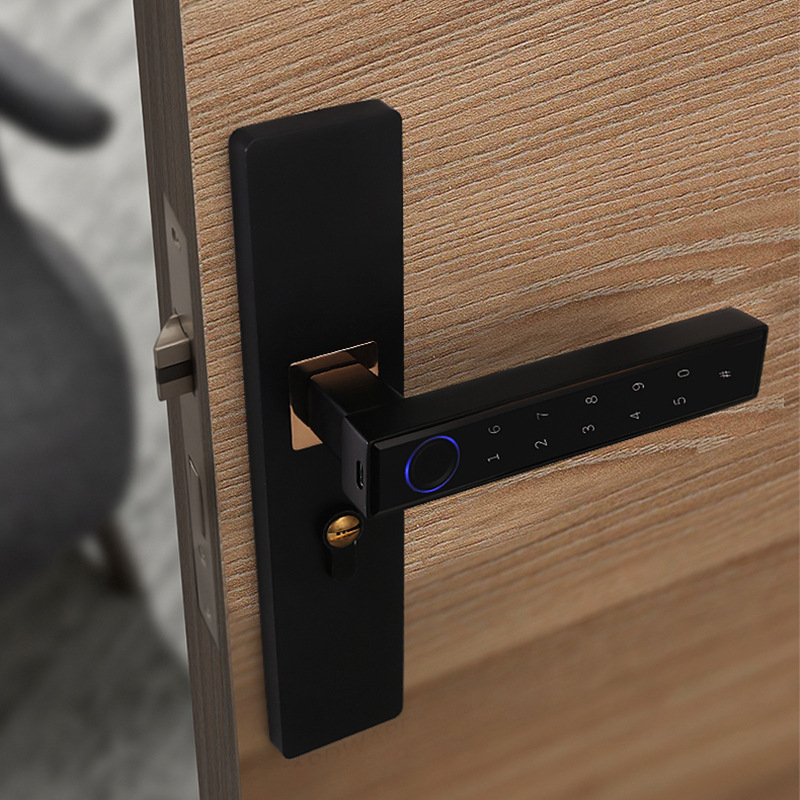 卧室室内电子门锁指纹锁指纹智能涂鸦家用木门房间密码锁办公室