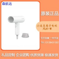 家庭用ハイパワー冷熱風筒寮用速乾電気ブローA1-W