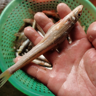 ʮ��𒵭ˮϪ�����rС���~������~�����~ɳ���~ɳ���~ɳ���~С�s