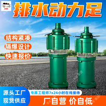 BQ725-132/5-400/WS���ø�����Ǳˮ��� ��ĥ��Ƹ�����Ǳˮ���