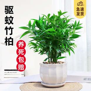 �������ֲ���҃��ļ����������՚�Gֲ�ļ����B���a�ͺ�ƽ����