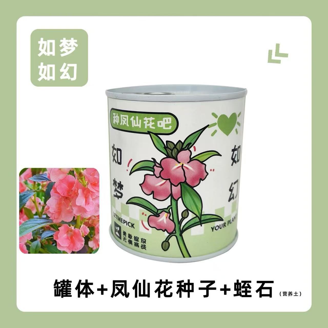 ใหม่กระถางกระป๋องฝาอลูมิเนียม-【 Fengxianhua 】