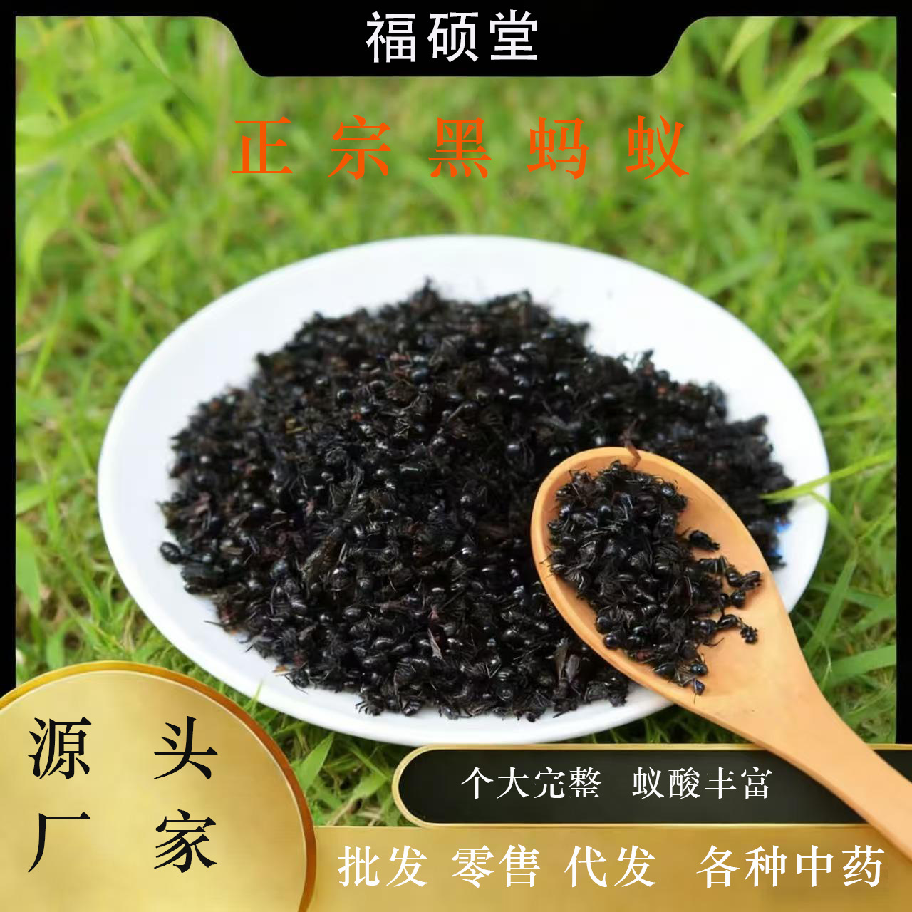 Black Ant Dried Whole (Polyrhachis vicina) — Food-Herb TCM Ingredient 500g overview