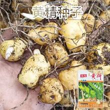 �S���N��ș���S���N���u�^�S���໨�ϻ����uצ��צ�Ӆ��S�u�˷N��