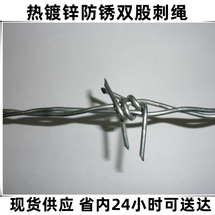 双股热镀锌刺绳防锈防盗带刺铁线绳网刺铁蒺藜小区学校围墙防爬网
