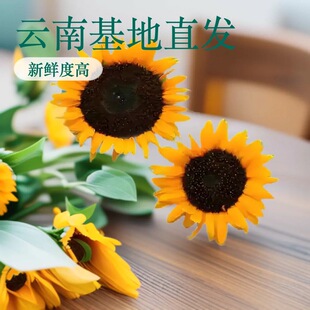 ���տ��r�����l����r������ֱ�l����[����c�廨�������@�r�л�