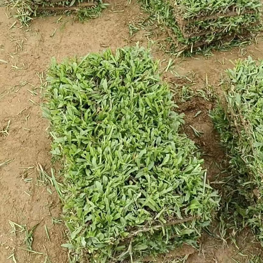 d17db0fdb3a4857aae82dfffd8ce23