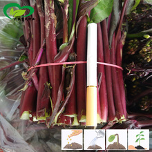 �ϼt���ķN�� �t��̦��о�N�� ��ͥ�̨�ˈ@���Բ�ɫ�߲˷N�����l