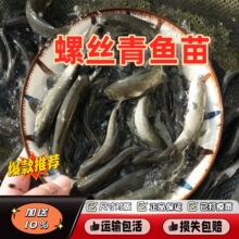 �ݽz���~������~����Ͳ��~���a�~���Ĵ���~���Bֳ���w�~�����