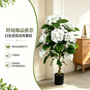 �羳���R�d���潑�����Կ͏d�b�ɫ�ٻ��o�M�ľGֲ����ͥԺ�[