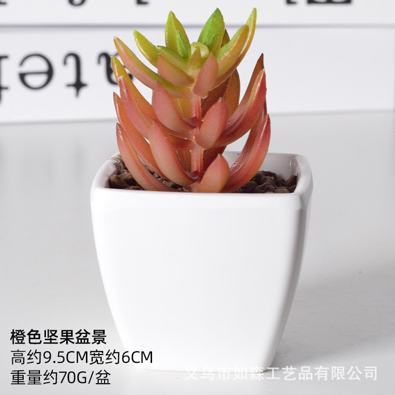 Simulación de plástico carnoso bonsai flor falsa combinación oficina interior escritorio plantas verdes pequeños adornos plantas artificiales al por mayor image 11