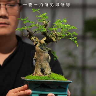 ������Ϟ�����Ϙ�һ��һ�����瘶�����辰����GֲͥԺ�̨����