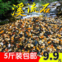 5斤鹅卵石天然五彩石子鱼缸小石头铺底造景沙石原生缸过滤溪流石
