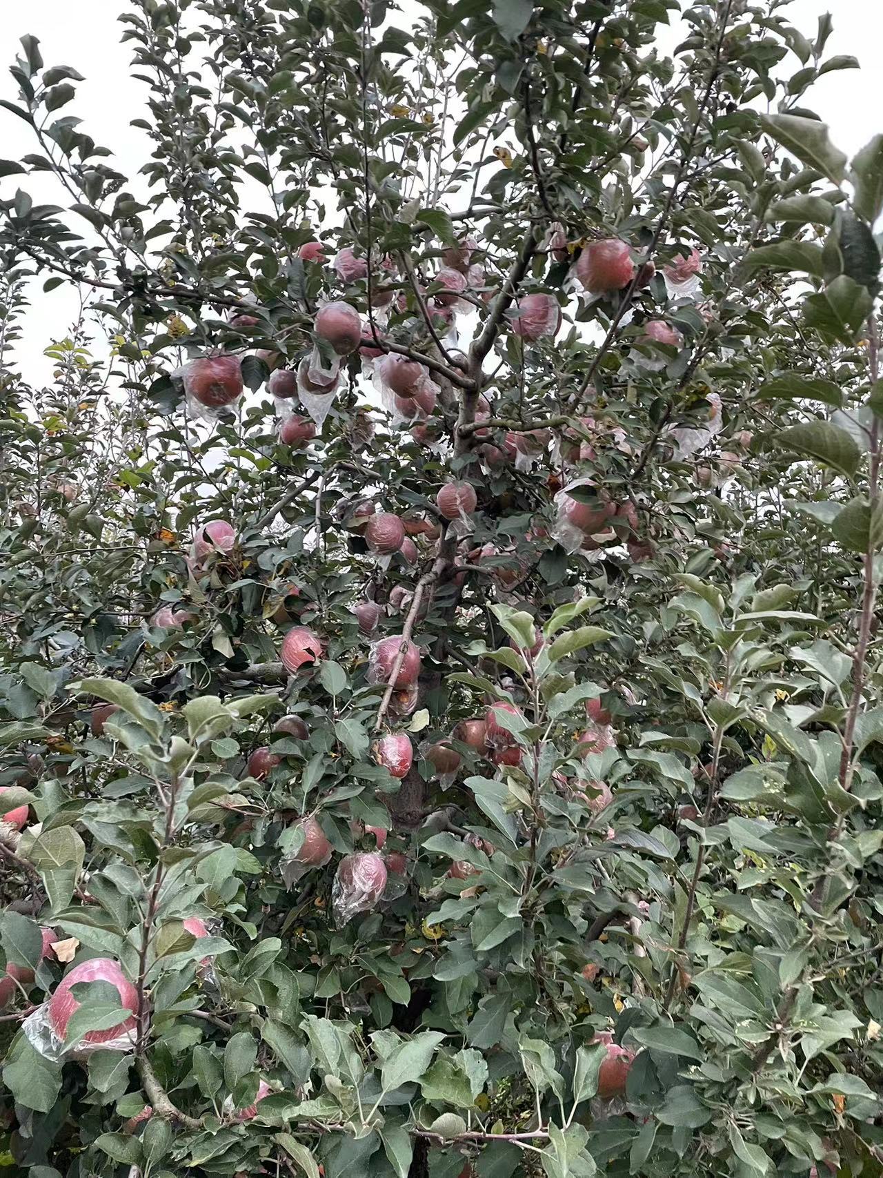 7677beaf-21a7-4efd-80d0-ff10d8