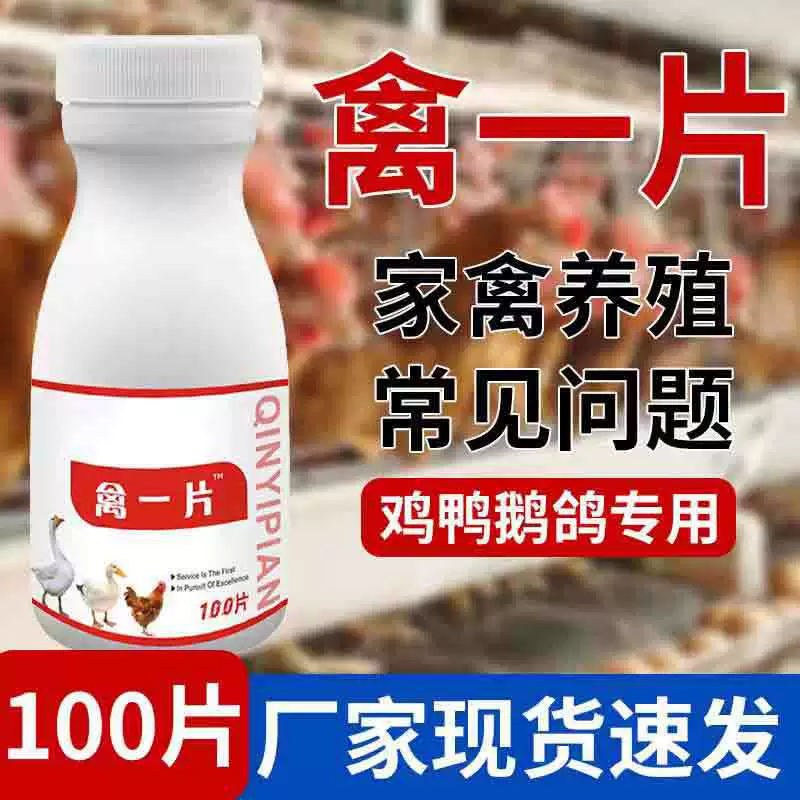 Птица: куры, утки, гуси, хрипы, ненормальные звуки, диарея, опущенные крылья, встряхивание головы, встряхивание носа, здоровье птицы, птицеводство