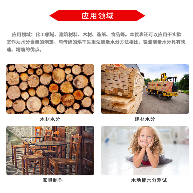 希玛（SMART SENSOR）AS981感应式木材水分测试仪 含水量率测量仪