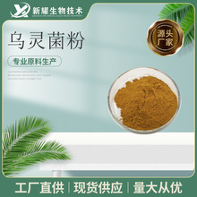 乌灵菌粉 乌灵参提取物  1kg起订 乌灵菌粉