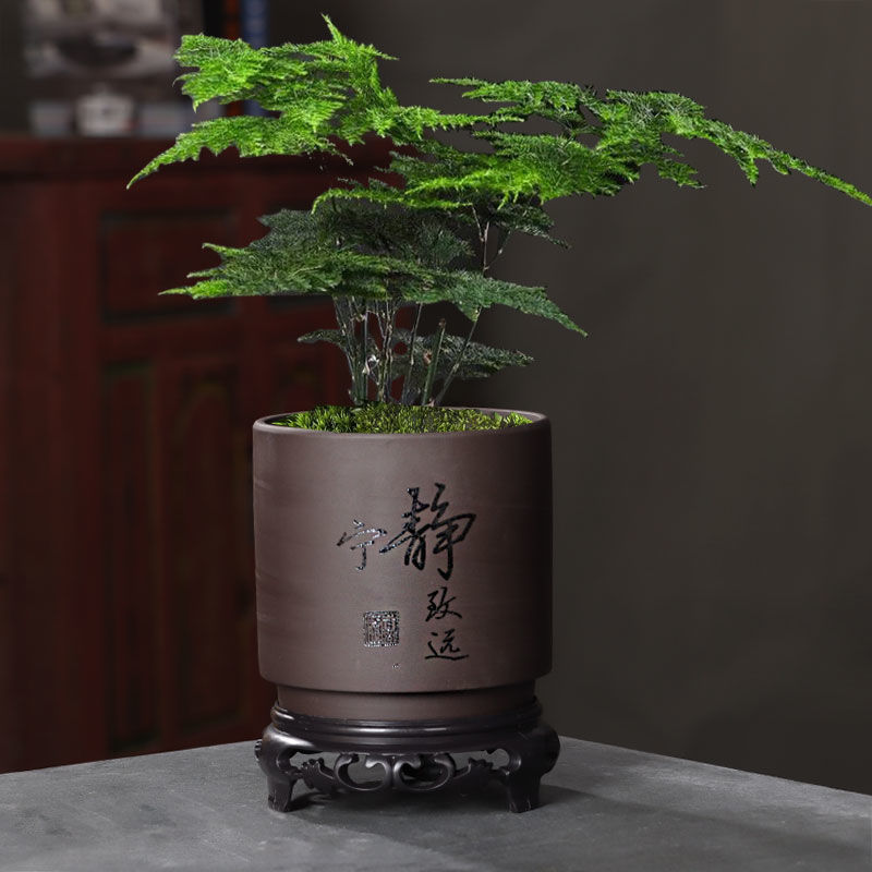 Purple Clay Succulent Flower Pot Ceramic Coarse Pottery Breathable Large Retro Old Stump Plant Asparagus Pot with Tray Special Clearance