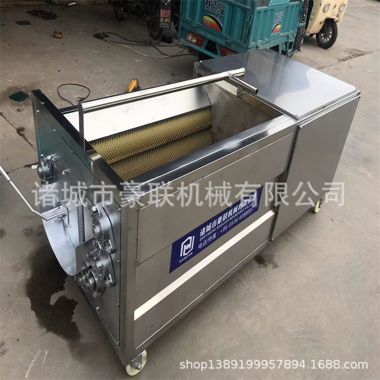 芋头马蹄萝卜莲藕清洗机果蔬清洗机 毛辊式清洗机节能环保