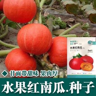 �t�۰���ؐؐ�ϹϷN�Ѹ߮a�t���ϹϷN�Ӵ��＾����Ŵ�ļ��߲˷N��