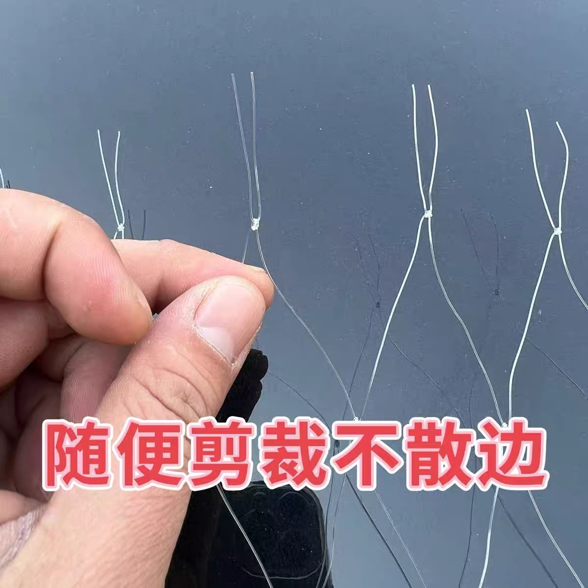 微信图片_20250429162200