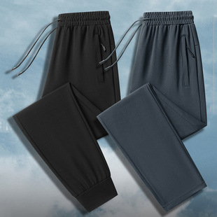 ��z�_�R2025�괺�b���e�\���Lѝ�Lѝ��Ʒ�|350g��ʿ���eѝ�F؛��