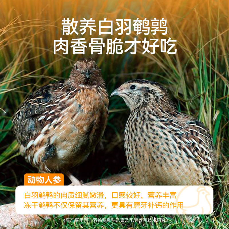 Pequeño pollo seco, bocadillos para gatos y perros, dientes de molienda general, limpieza de dientes, nutrición de calcio, fácil de digerir, bocadillos para gatos pequeños.