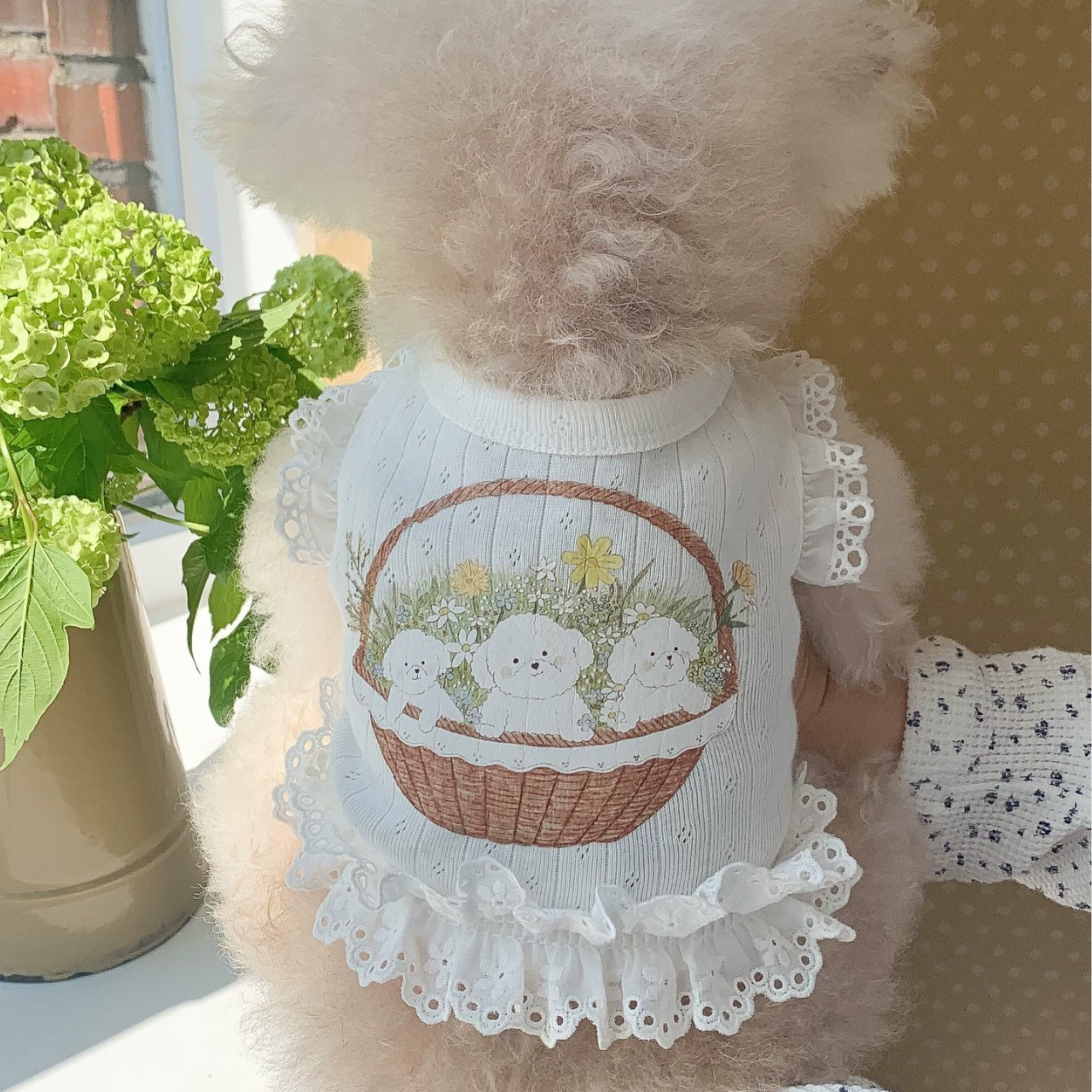 Одежда для домашних животных, 3 щенка с кружевным жилетом, Тедди, Бишон, Шнауцер, кошка, маленькие собаки, весна и лето